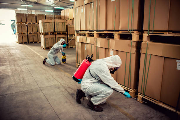 Best Flea Control Services  in Lemon Hill, CA