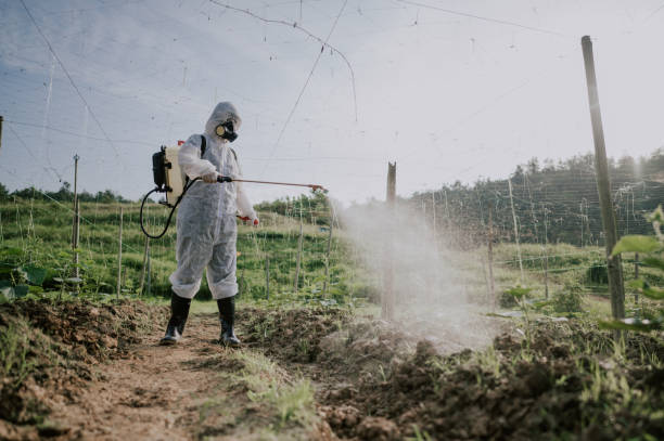 Best Pest Control for Homes  in Lemon Hill, CA