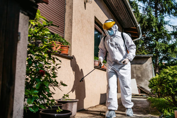 Best Wasp Removal Services  in Lemon Hill, CA