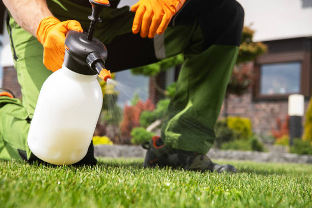 Best Ant Control Services  in Lemon Hill, CA