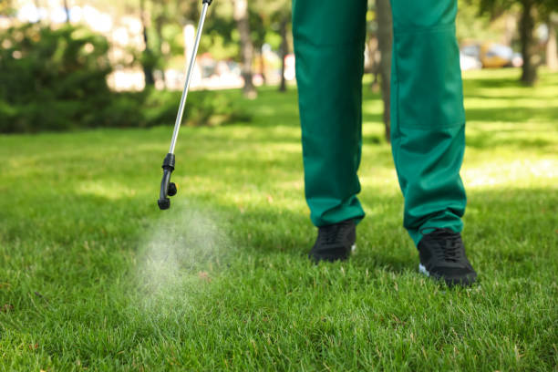 Best Affordable Pest Control Services  in Lemon Hill, CA