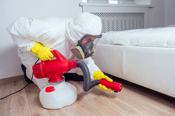 Best Pest Control Near Me in Lemon Hill, CA
