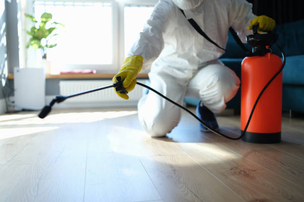 Best Best Pest Control Companies  in Lemon Hill, CA