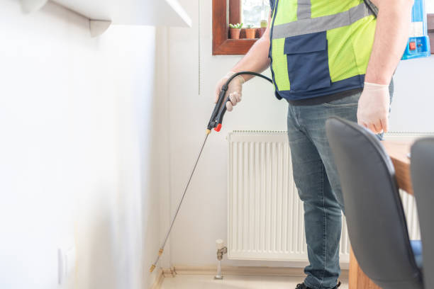 Best Local Pest Control Services  in Lemon Hill, CA