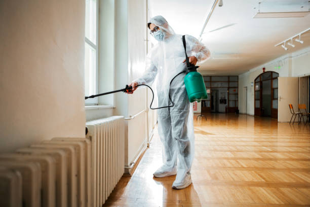 Best Emergency Pest Control  in Lemon Hill, CA