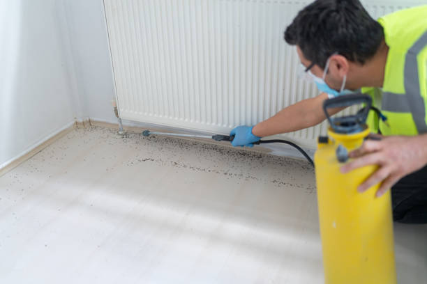 Best Pest Control Near Me  in Lemon Hill, CA