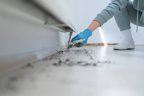 Best Mosquito Control Services  in Lemon Hill, CA