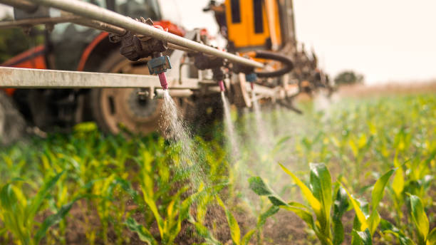 Best Commercial Pest Control Services  in Lemon Hill, CA